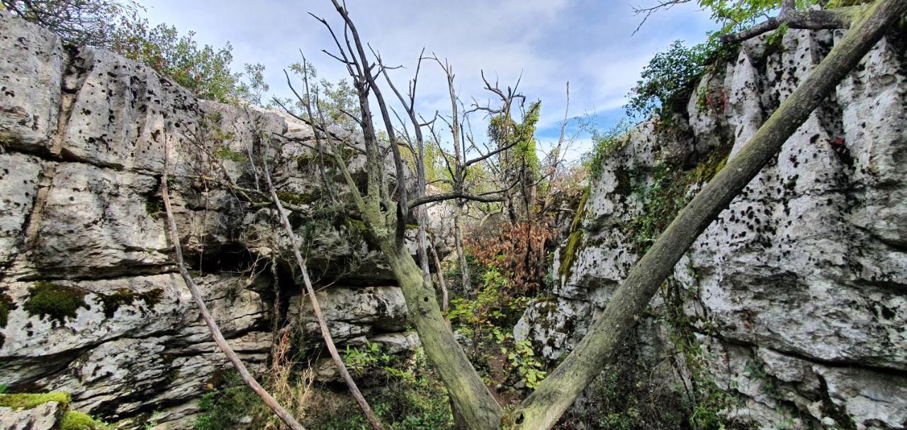 La Grange - Chez Gisi - Fuer Naturliebhaber, Abenteurer Und Geniesser Rocles  外观 照片