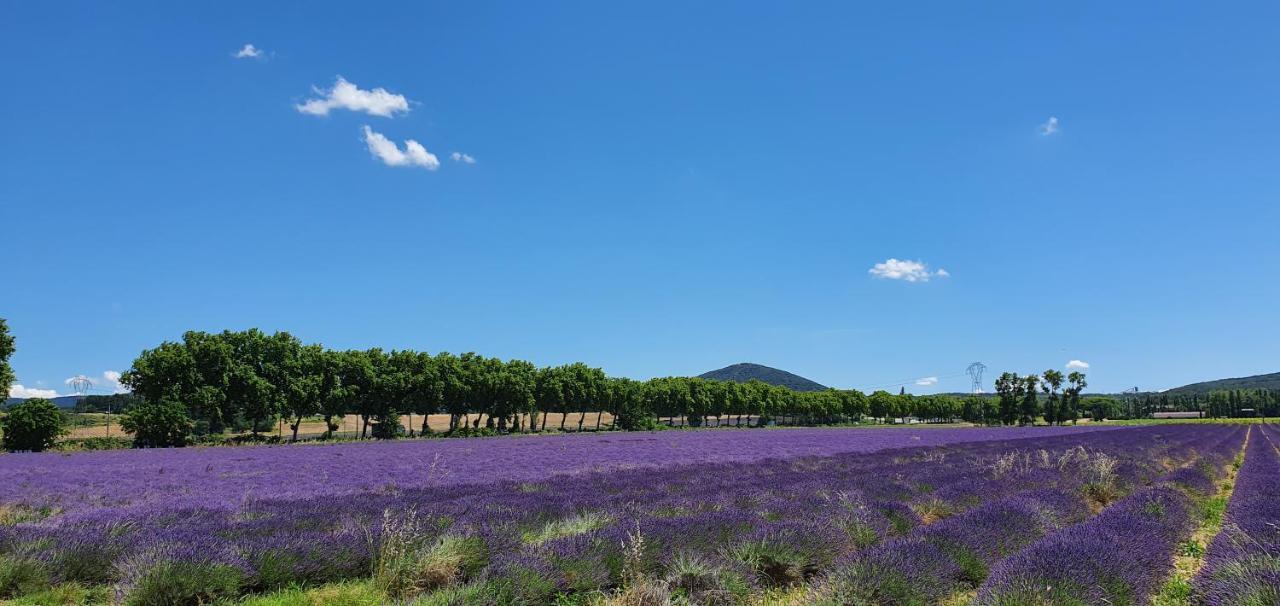 La Grange - Chez Gisi - Fuer Naturliebhaber, Abenteurer Und Geniesser Rocles  外观 照片